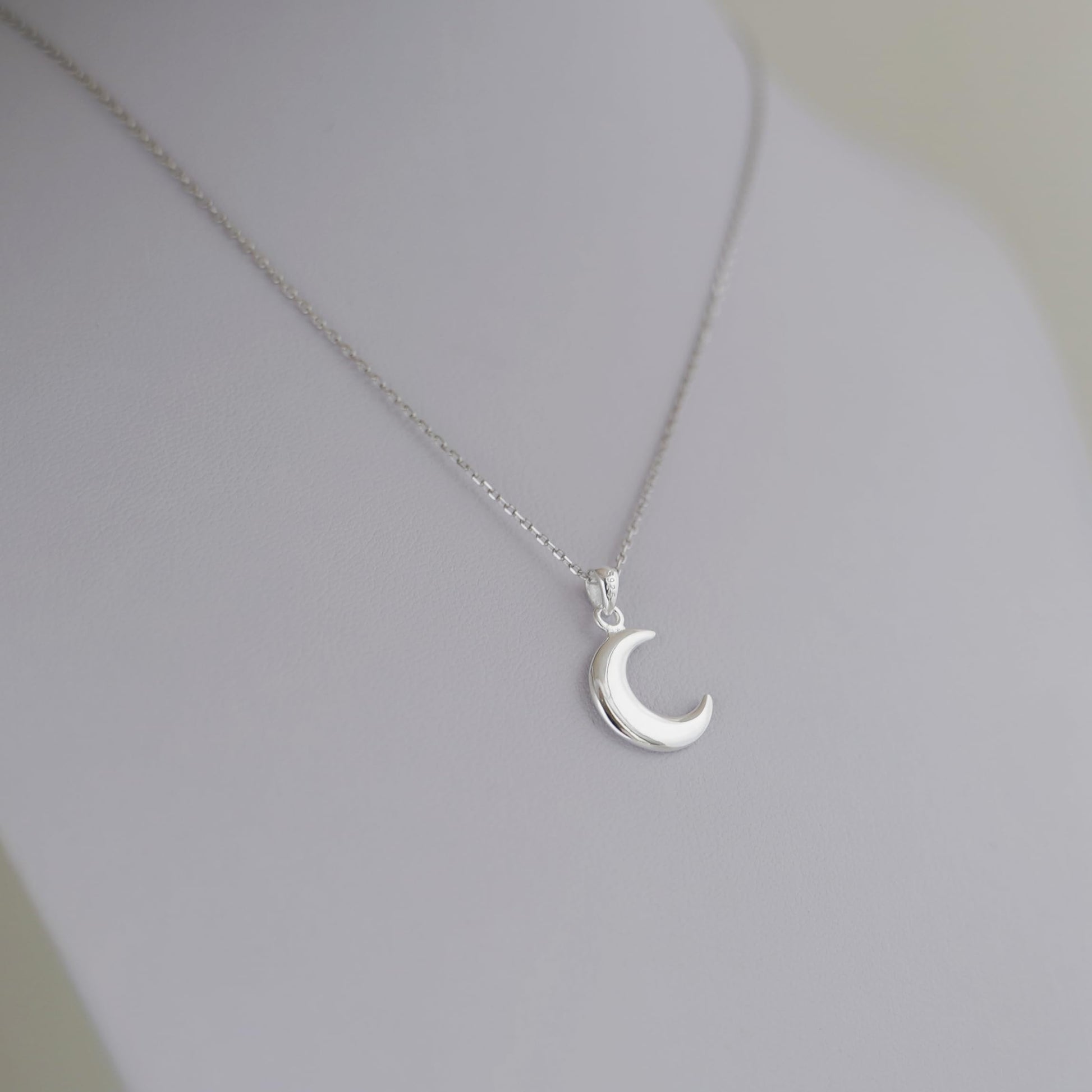 Rhodium curb chain necklace with silver crescent moon pendant
